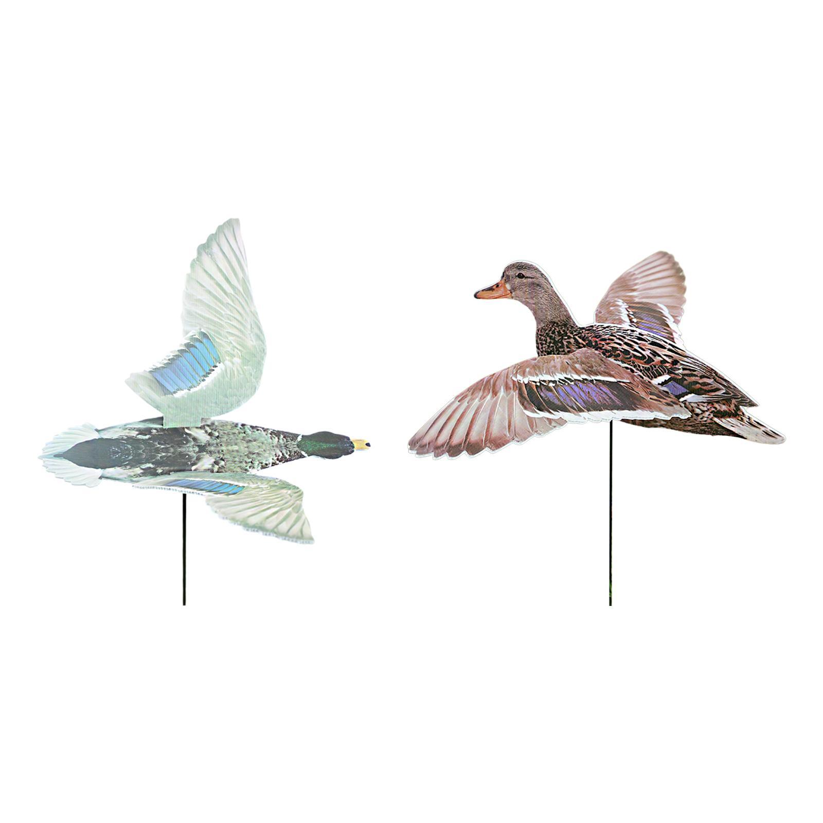 Outdoor Hunting Duck Decoy Mul - đánh giá và giá Hunting Outdoor Decor