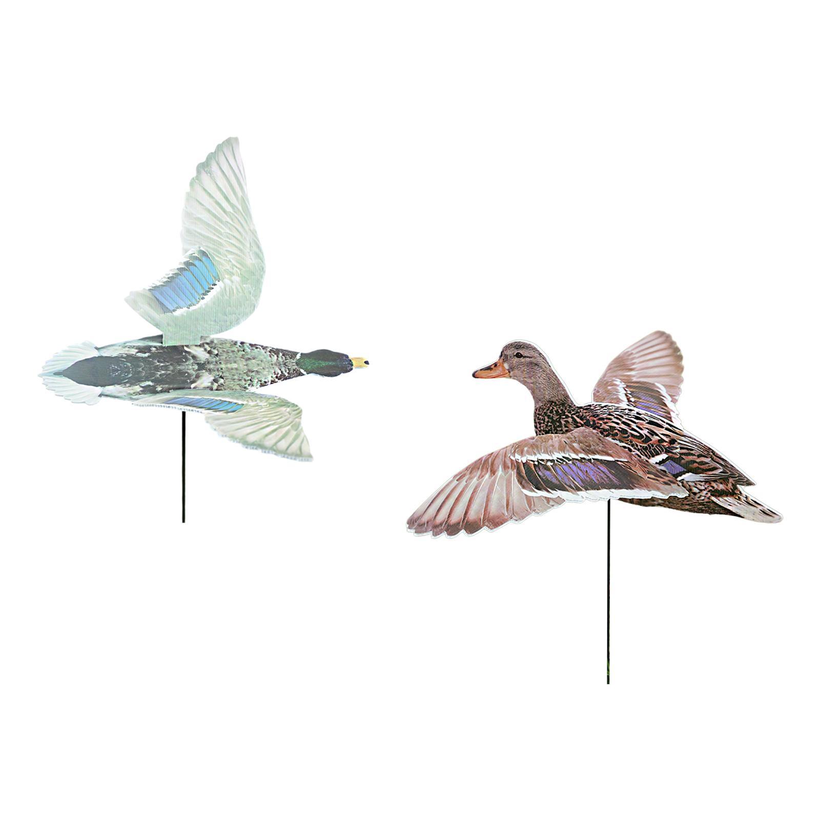 Outdoor Hunting Duck Decoy Mul - đánh giá và giá Hunting Outdoor Decor